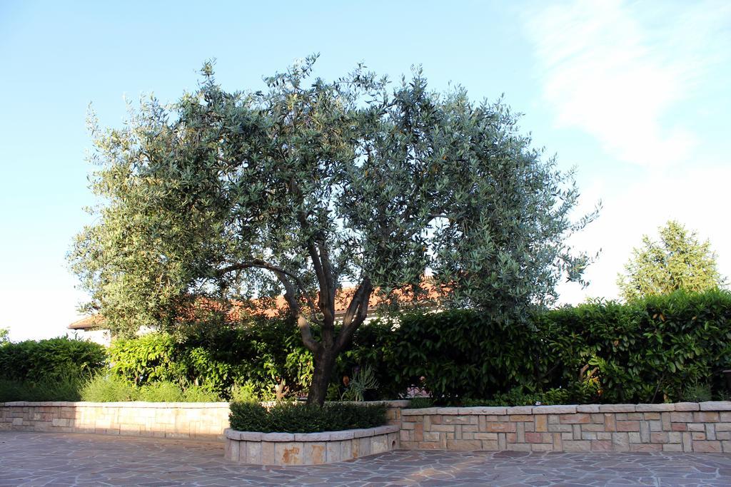 Apartment Dalia